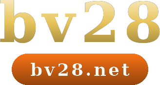 bv28 logo